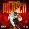 Fast Money (Explicit) - SM Bullett