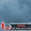 The Story Of My Life (Original Mix) - Irvina