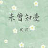 未曾知爱 (伴奏) - 沈波