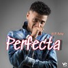 Perfecta - NVR Rulay