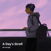 A Day's Stroll - Hi I'm Ray&Antoine Bellman