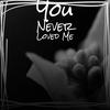 You Never Loved Me - The Monotones/The Pentagons