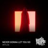 Never Gonna Let You Go - Mytlin