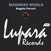 Madness World (Original Mix) - Angelo Ferreri