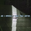 Am I Wrong X Pale Pale Aisyah (INS) - Firman Fvnky