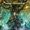Face to Face - Spectra Sonics&Hypnoise