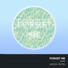 Forget Me (Electro Acoustic Mix) - Jason Born