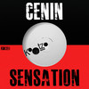 Funky Fly (Original Mix) - CENIN