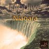 Niagara (Original Mix) - Flipplive