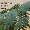 After the Storm - AKIVA