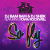 So Fly (feat. Iowa Rockwell) - DJ Bam Bam&DJ Sheik