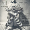 Shine (Original Mix) - Paul McCabe