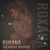 Ты меня любил - Roxana