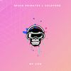 My Life - Space Primates&Goldford