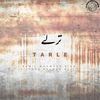 Tarle (feat. Salman Ali) - Kamil Mahmood Kiani&Salman Ali