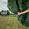 Waiting for the End - GRiZ