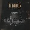 El Trampolín - Voz De Mando&El Fantasma