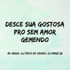 Desce Sua Gostosa pro Sem Amor Gemendo (Explicit) - mc grigo&DJ PSICO DE CAXIAS&Dj Nariz 22