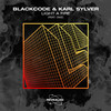 Light A Fire - Blackcode&Karl Sylver&Revealed Recordings&OMZ