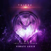 I Fly (Extended Mix) - Triode