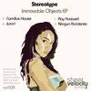 Ray Kurzweil (Original Mix) - Stereotype