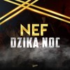 Dzika Noc (Original Mix) - Nef