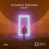 Serenity - Hushrov Bhesania