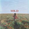 Wild (feat. Samuel Morgan & gio.) - Gabe Lost&Samuel Morgan&gio.