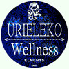 Wellnes (Original Mix) - Urieleko