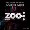 Amino Acid (Audio X & D.J Feio Remix) - Atomic Pulse&Cyrus The Virus