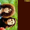 Seagull Woman - T. Rex