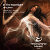 Pirouette (Aeron Komila Radio Edit) - In The Moonlight