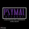 Long Night (Original Mix) - Liam Davis&Will Anderson