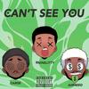 Can't See You (feat. 9Ninelitty & Aiibreed) (Explicit) - DARSE&9Ninelitty&Aiibreed