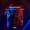 Sound Of Sorrow (Original Mix) - Kenji Sekiguchi