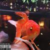 Ratical (Explicit) - Timbo Finna