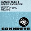 Pleasure (Original Mix) - Sam Bylett