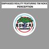 Perception (Original Mix) - Emphased Reality&Tim Nokx