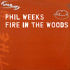 Fire in the Wood (David Duriez Plastic Music Remix) - Phil Weeks&David Duriez