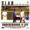 Slab Shotz - Trae&Lil' B&Jayton&Dre