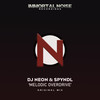 Melodic Overdrive - DJ Neon&Arkett Spyndl