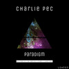 Paradigm (Christian Martinec Remix) - Charlie Pec&Martinec