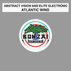 Atlantic Wind (Dmitry Bessonov Remix) - Abstract Vision&Elite Electronic