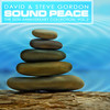 Ocean Sound Healing - David & Steve Gordon