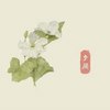 夕颜（钢琴曲） - 顾彬