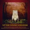 Hymn to the Absolute Source (feat. Zuleikha, Lynn Walters, Sandy Canzone, Patricia Brown & Gip Brown) - Shrikrishna Kashyap&Steve Gorn&Zuleikha&lynn walters&Sandy Canzone&Patricia Brown&Gip Brown