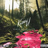 Nikto Ne Nuzhen (feat. Pearly Pride) (Explicit) - Kizaru&Pearly Pride