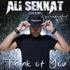 Think of You(feat. Krystal Goddard) - Ali Sekkat&Krystal Goddard