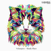 Shady Place (Original Mix) - Velasquez