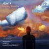 This Is My Kingdom (Indepth Remix) - Adwer